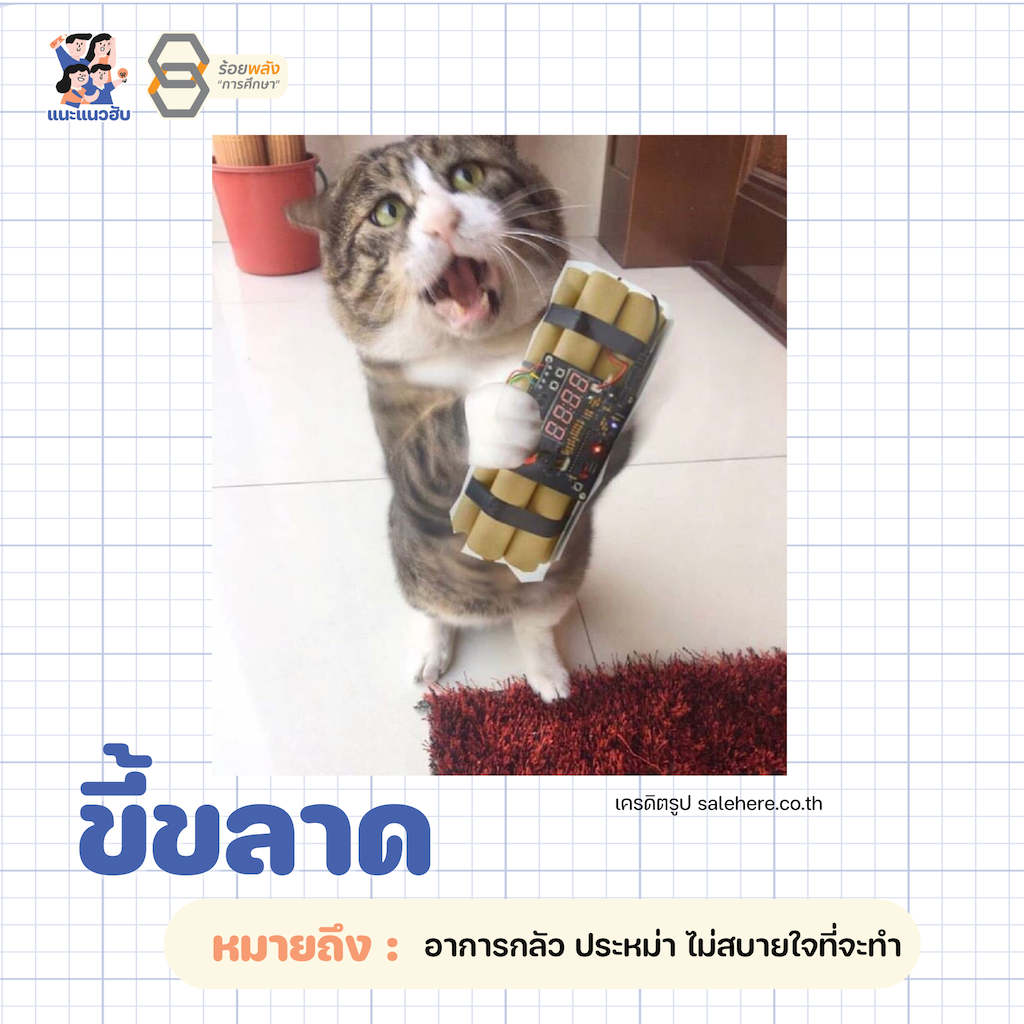 ชื่อภาพ