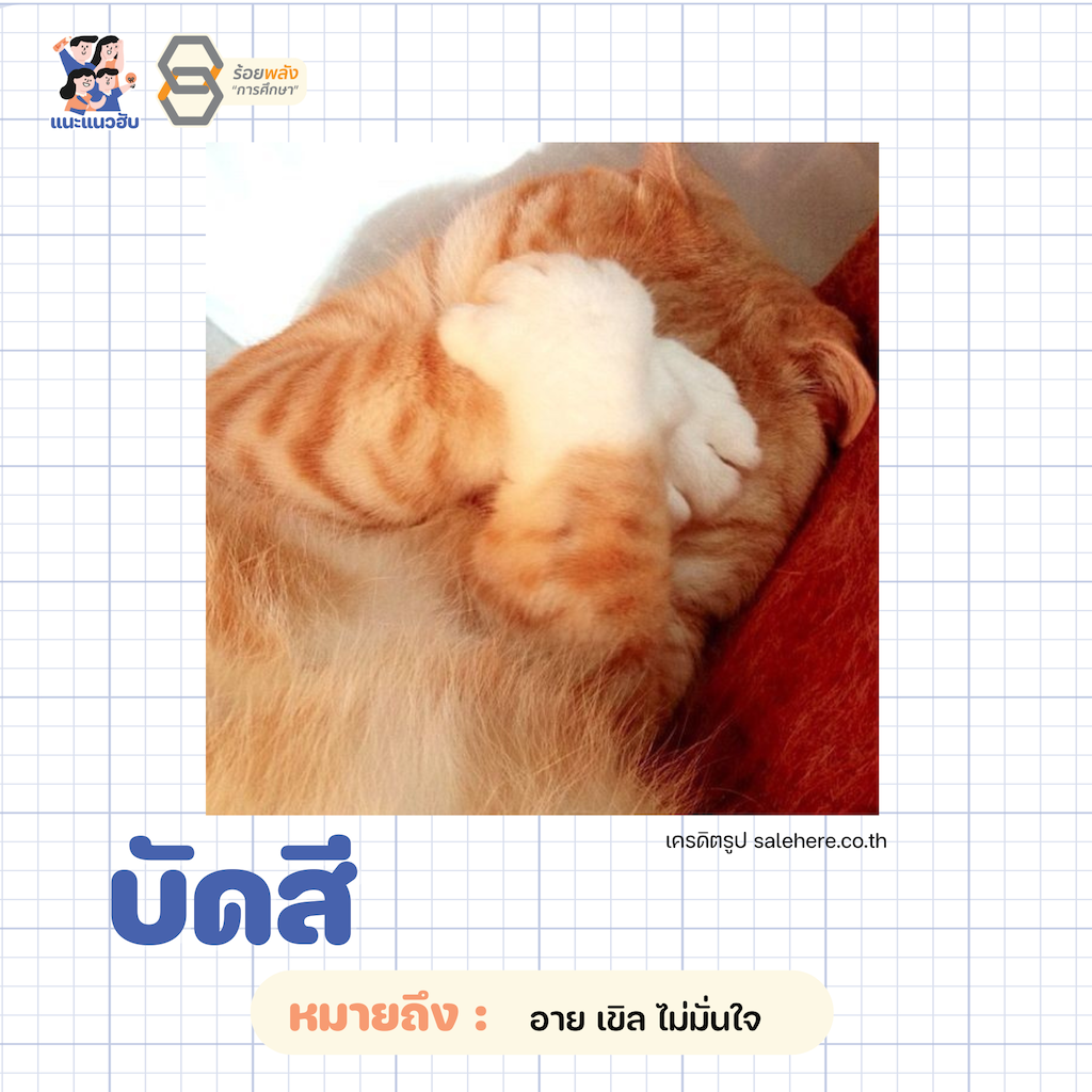 ชื่อภาพ